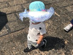 -江西阳明山国家森林公园