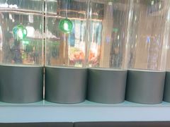 -青花椒花椒鱼(合生汇店)