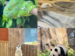 -香港海洋公园