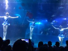 -邯郸海洋世界