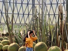 -深圳仙湖植物园-停车场