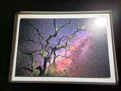 -罗红摄影艺术馆