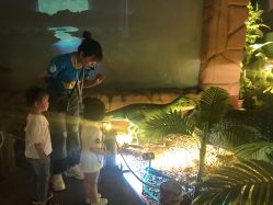 -恐龙探索乐园(磁器口店)