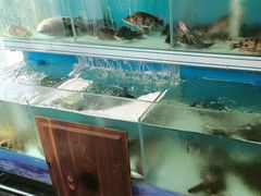 -岩泊渡桂鱼楼活鱼馆