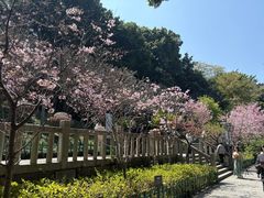 -乌山风景区