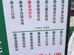 -合肥滨湖国家森林公园