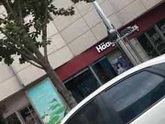 -哈根达斯(西安高新店)