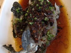 -欢乐海岸美食联盟