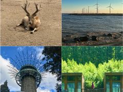 -盐城丹顶鹤湿地生态旅游区