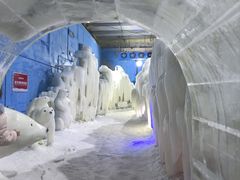 -宁波冰雪大世界(北仑区)