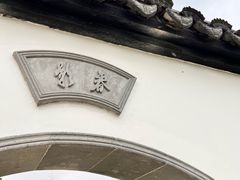 -上海滨江森林公园