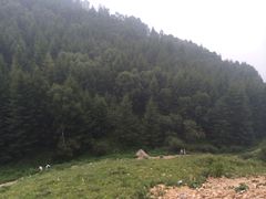 -驼梁风景区