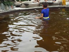 -雅安楠水阁温泉酒店