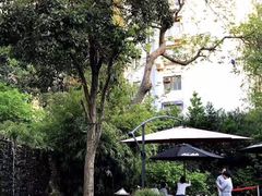 -老洋房花园饭店(绍兴路店)