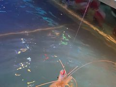 -钳真多钓虾馆·小龙虾海鲜烧烤(九六广场店)