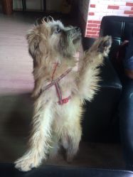 -巴黎婚纱摄影工作室