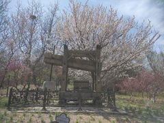 -北京张裕爱斐堡酒庄
