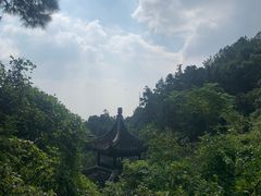 -旺山景区