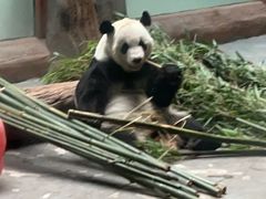 -青藏高原野生动物园