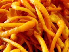 iphone_upload_pic-易门野生菌府·菌海森林(月牙潭公园店)