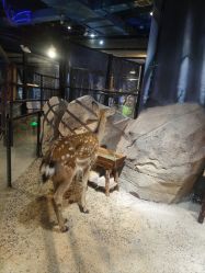 -酷嗒动物文化乐园(cutezoo西溪乐天城店)