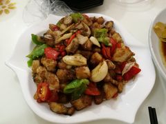 -煲来饱去冷水鱼