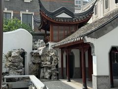 -佩兹宠物医院肿瘤专科·眼科·牙科(黄浦店)