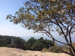 -鲁山国家森林公园