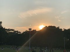 -东莞植物园