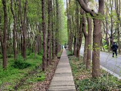-同里国家湿地公园