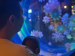 -太平洋海底世界