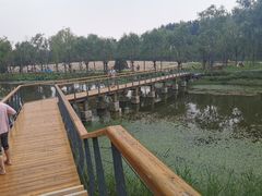 -东郊湿地公园