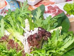 -南门四季铜锅涮肉(左家庄店)