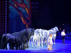 -珠海横琴长隆《卡卡虎奇遇记》