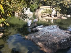-昆明动物园