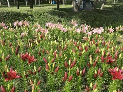 -长春公园(普阳街道)