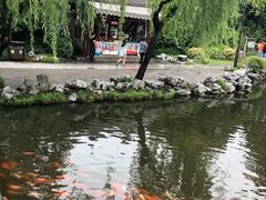 -西湖外事游船(花港观鱼码头)