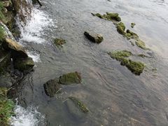 -贵阳市花溪国家城市湿地公园