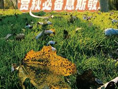 -人民广场