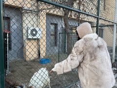 -枫叶小镇奥特莱斯
