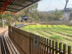 -红山村