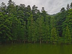 -广州市帽峰山景区