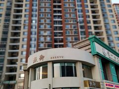 -甄御•海鲜新青岛菜(麦岛店)