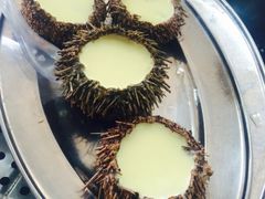 -蚝专家(北滘店)