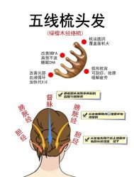 -Bollins波林丝•专研护发中心