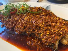 普洱茶炝锅鱼-云里小坐·小院里·团建·宴请·下午茶(三圣乡店)