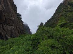 -黄山风景区