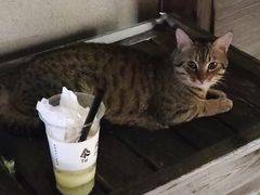 -串串香(税东街店)