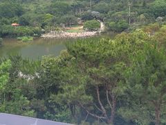 -深圳仙湖植物园