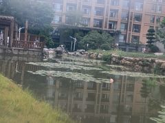 -御泉湾养生汤泉